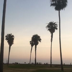 Meet your Posher, Margaret